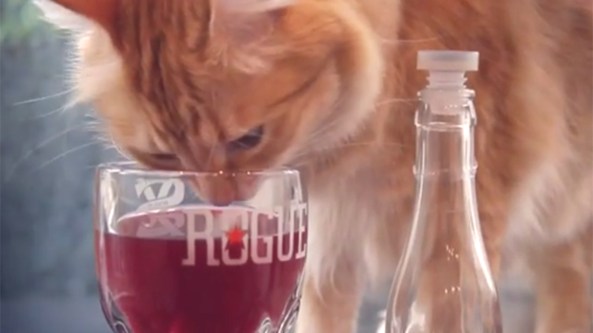 The company Apollopeak is debuting non-alcoholic "wine for cats."